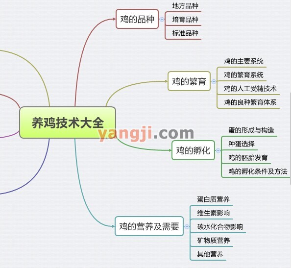 養(yǎng)雞技術大全